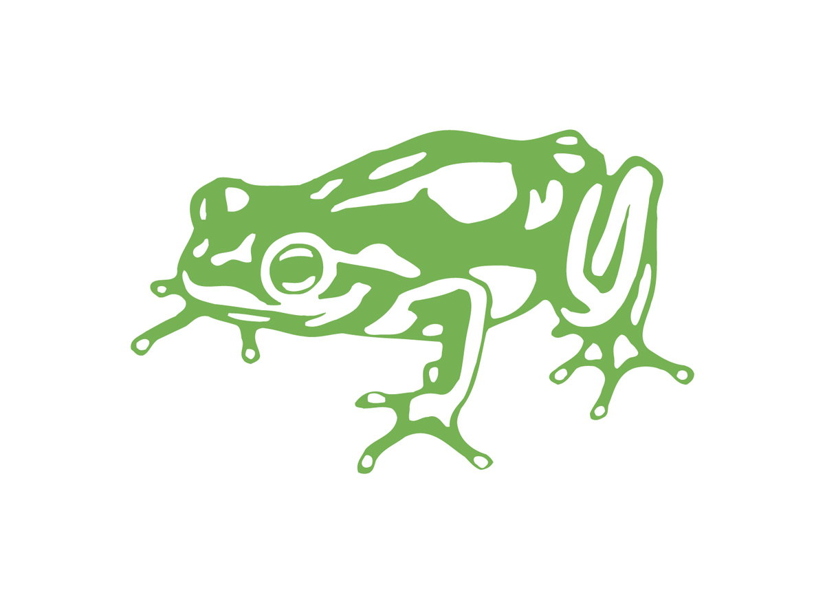 Frog Design